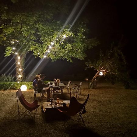 Domaine De La Celarie Mouzieys-Teulet ภายนอก รูปภาพ