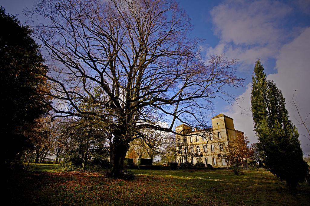 Domaine De La Celarie Mouzieys-Teulet ภายนอก รูปภาพ